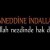 tekdinislam